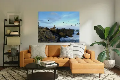 Seal Bird Watching 2 Reproduction