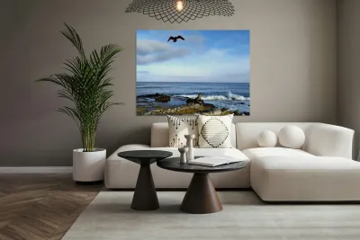 Seal Bird Watching 3 Reproduction