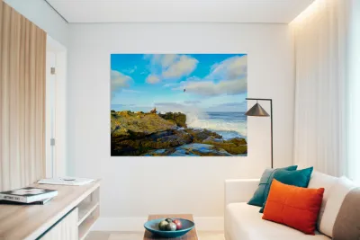 Seal Meditation 2 Reproduction