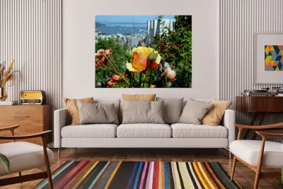 A City Rose Reproduction