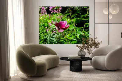 Penelope Purple Reproduction