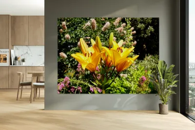 Bursting Beauty 2 Reproduction