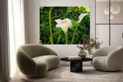 Golden Rod Exposed 2 Reproduction