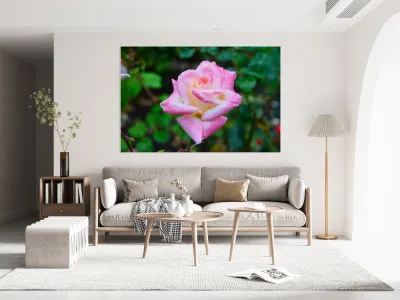 Beautiful Sweat Reproduction