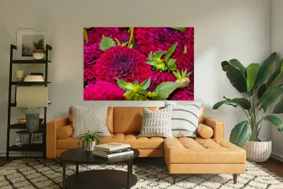 Flower Bloom 4 Reproduction