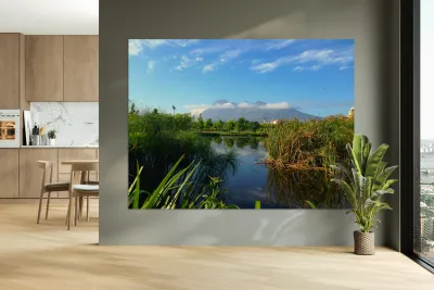 Out of Africa 2 Reproduction