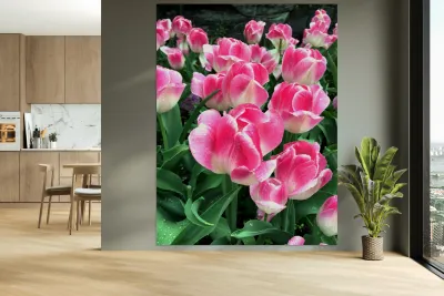 Tulips Are Better Than One B Reproduction