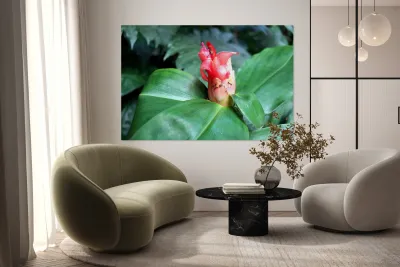 Flower Bud Reproduction