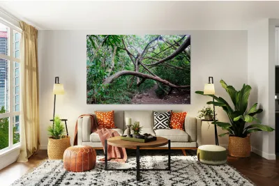 Branches of Life Reproduction