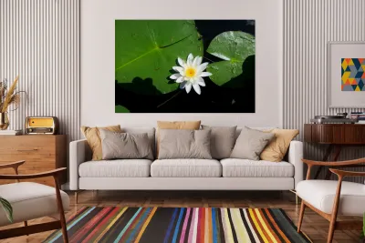 Blooms of Joy 2 Reproduction