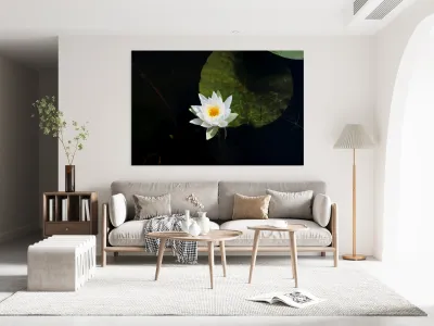 Blooms of Joy Reproduction