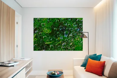 Water Drops Reproduction