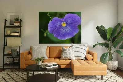 Blue Velvet Reproduction