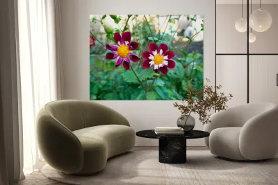 Flower Bloom 5 Reproduction