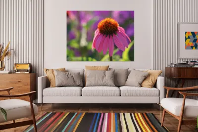 Purple Coneflower Reproduction
