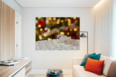 Seal on Christmas cake with tree lights Reproduction