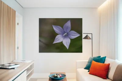 I See Blue Reproduction