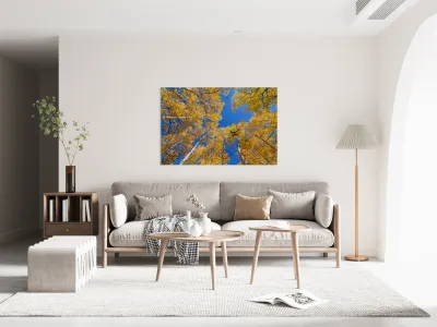 Aspen  Curve Reproduction