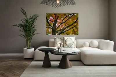 Season Of Colorful Magic Reproduction