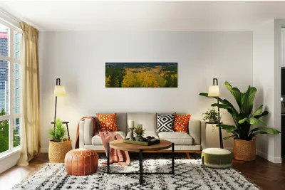 Colorado Autumn Panorama colorful Reproduction