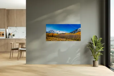 Colorado Rocky Mountain Independence Pass Fall Pano Reproduction