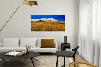 Colorado Rocky Mountain Independence Pass  Reproduction