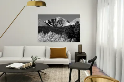 Longs Peak Autumn Aspen Landscape View BW Reproduction