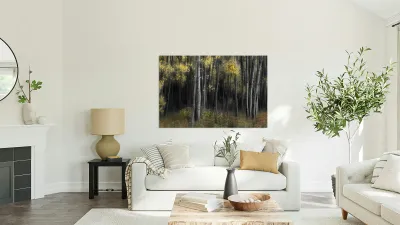 Aspen Tree Grove Into Darkness Reproduction