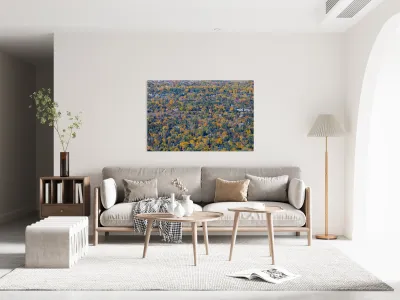 Fall Foliage Boulder Colorado Reproduction