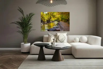 Boulder Colorado City Walk Reproduction