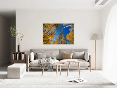 Blue Sky Autumn Bliss Reproduction