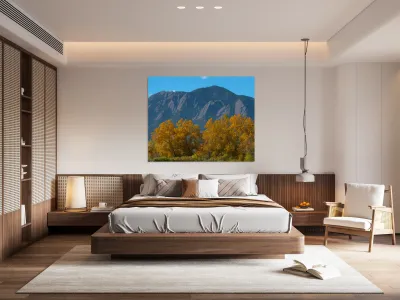 Boulder Flatirons Mighty Cottonwood Trees Reproduction