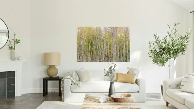 Colorful Forest Twist  and Turns Reproduction