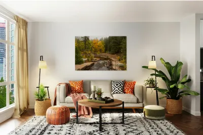 Downstream St Vrain Reproduction