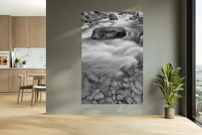 Fishermans View in Black and White Reproduction