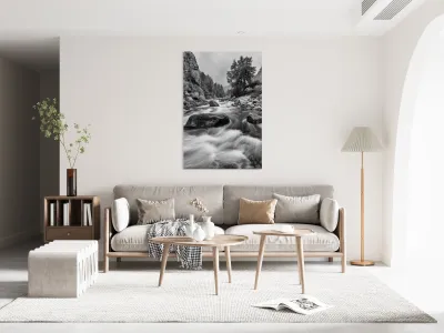 Colorado Black White Canyon Portrait Reproduction