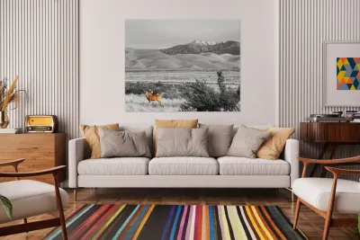 Great Colorado Sand Dunes Deer Reproduction