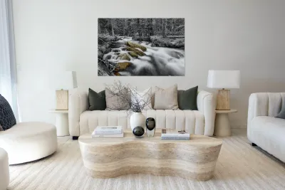 Roosevelt National Forest Stream BW Selective Reproduction