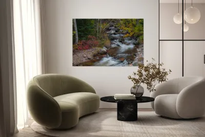 Color Streaming Reproduction