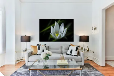 White Flower Reproduction