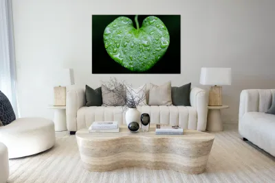 Simple Rain Reproduction