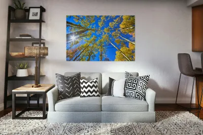 Autumn Aspen Magic Reproduction