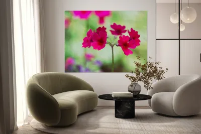 Valley Red Reproduction