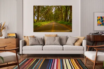 Famous Tree Tunnel of Eucalyptus trees Reproduction