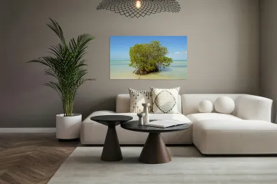 Mangrove on Cuban beach 2 Reproduction