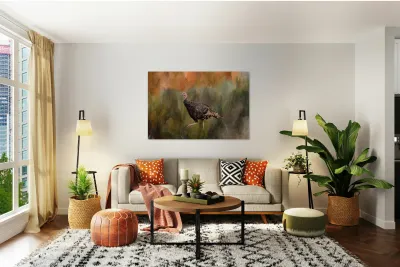 Native Merriam Turkey Reproduction