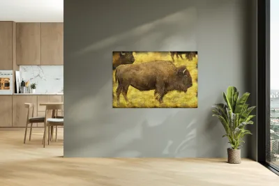 Bison Reproduction