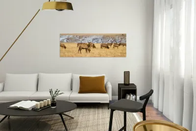 Elk Heard Colorado Foothills Plains Panorama Reproduction