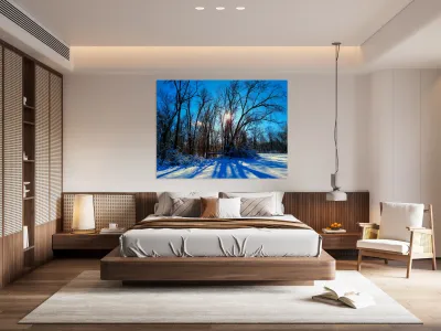 Winter Wonderland 2 Reproduction