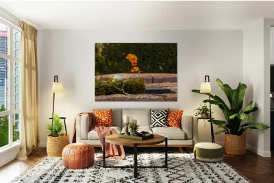 Christmas wreath by JFK memorial Reproduction